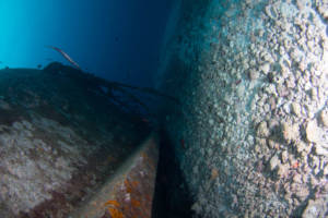 Diving in Pico d’Ouro shipwreck